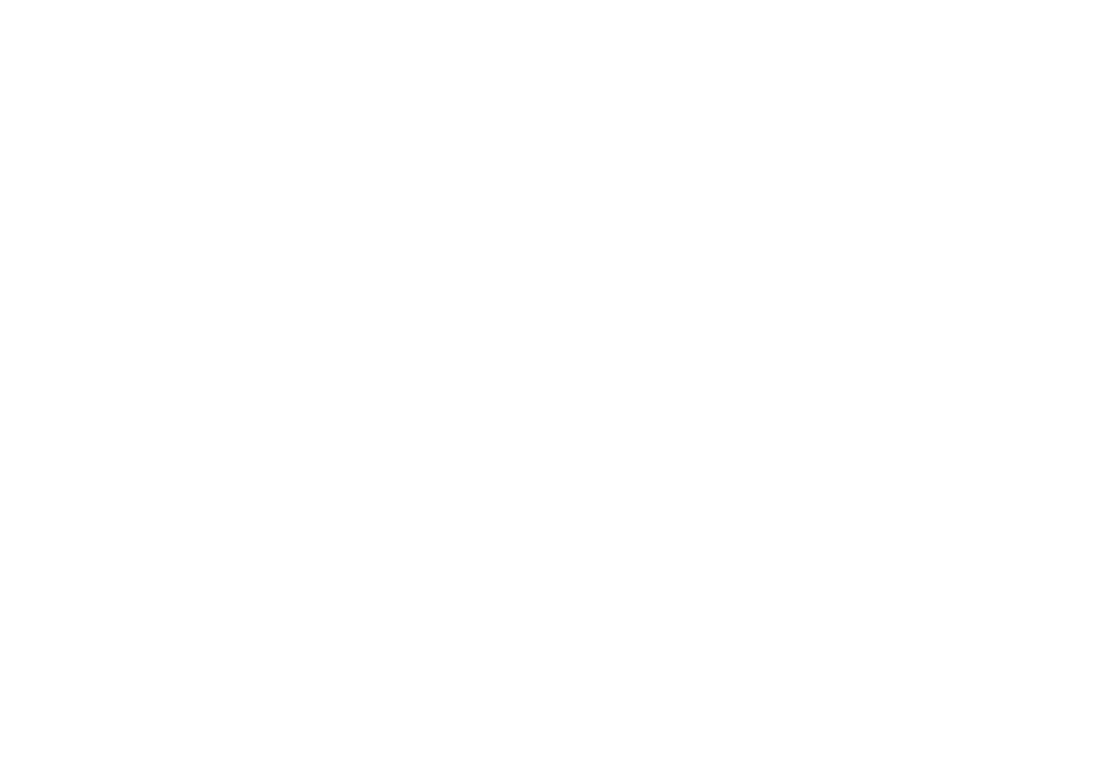 gsmsecuriteL